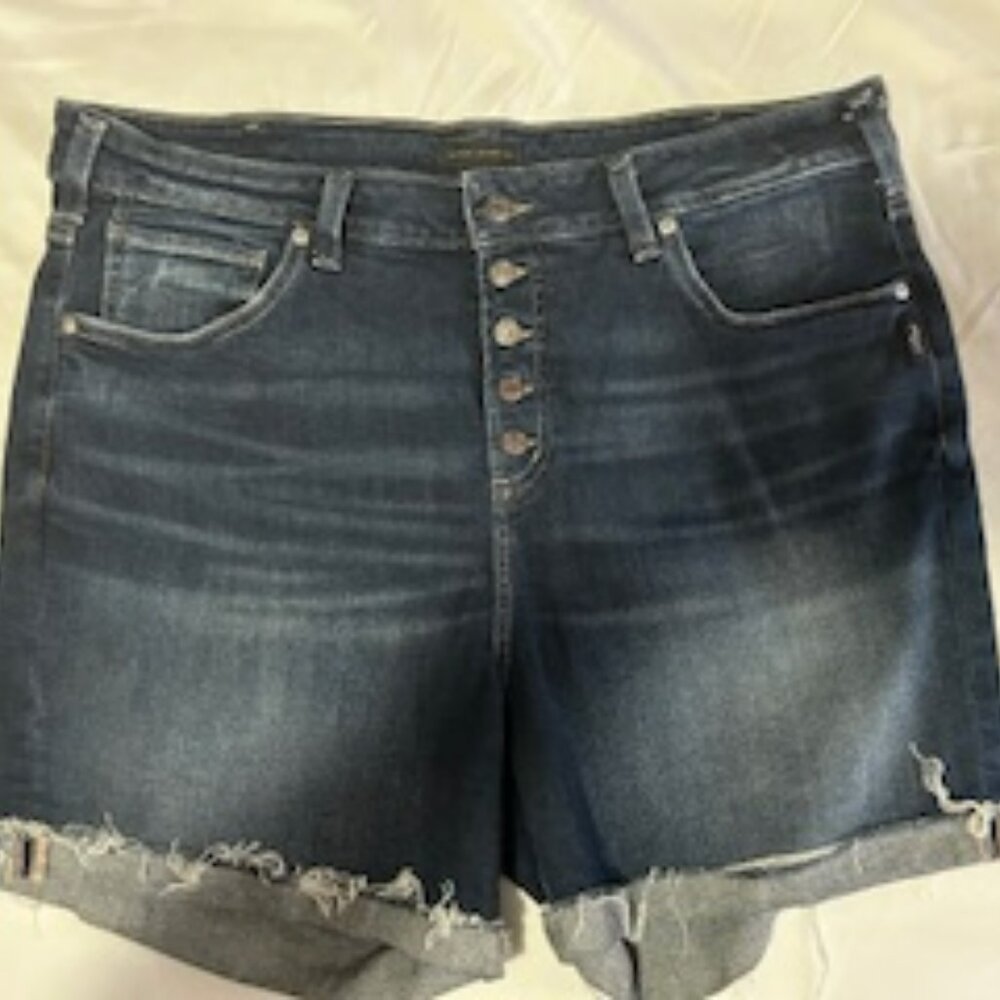 Silver Avery jean shorts size 18